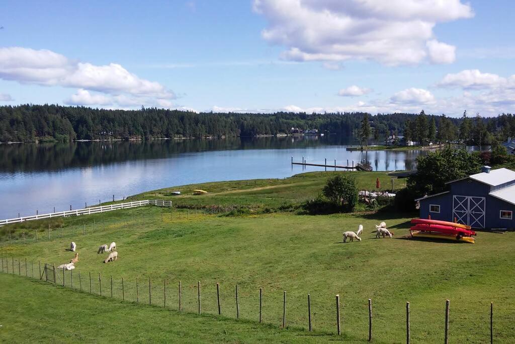 Oceanfront Studio/Loft: Alpacas, Oysters & Kayaks Shelton Exteriör bild
