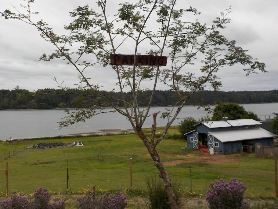 Oceanfront Studio/Loft: Alpacas, Oysters & Kayaks Shelton Exteriör bild
