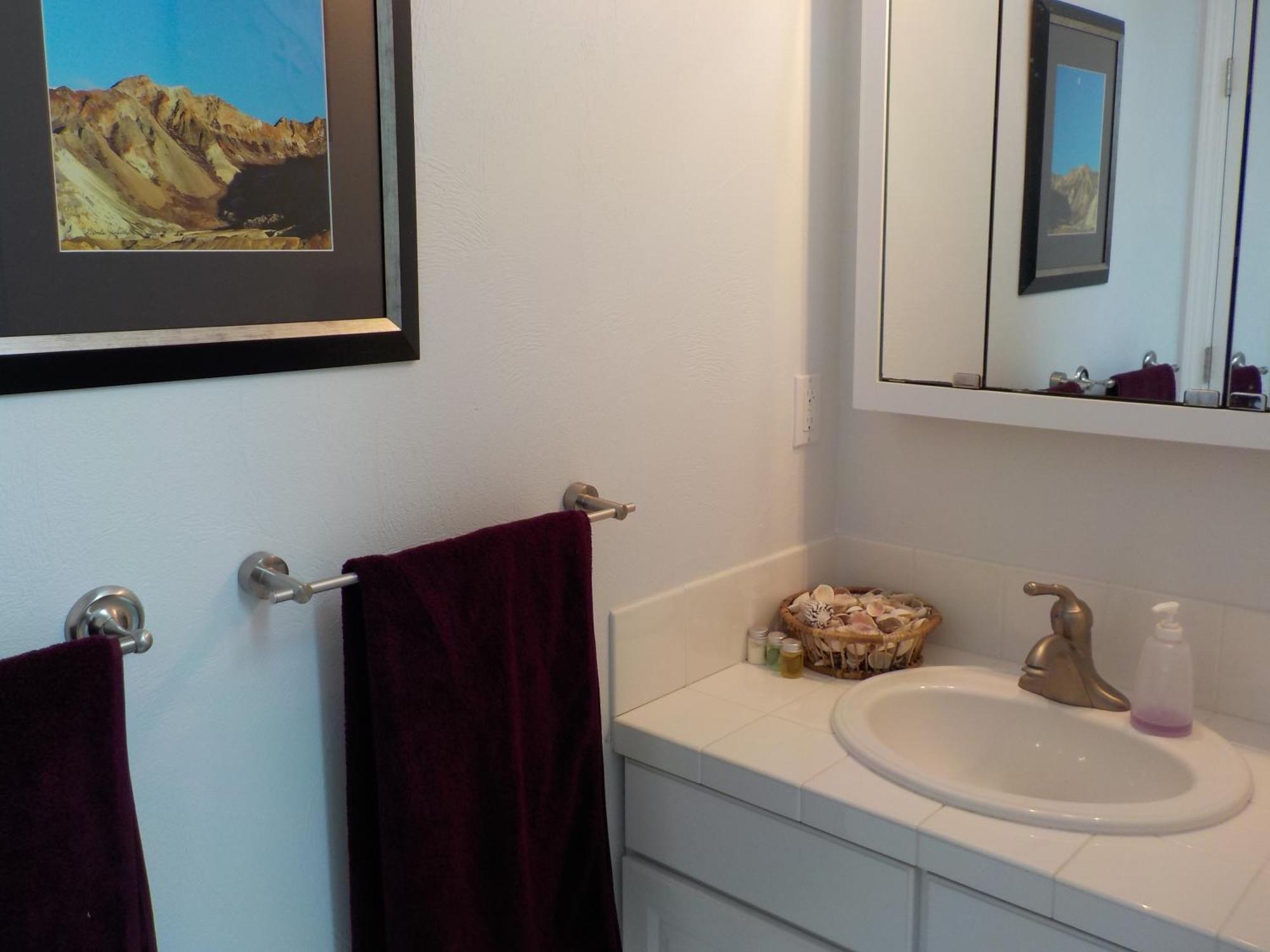 Oceanfront Studio/Loft: Alpacas, Oysters & Kayaks Shelton Exteriör bild