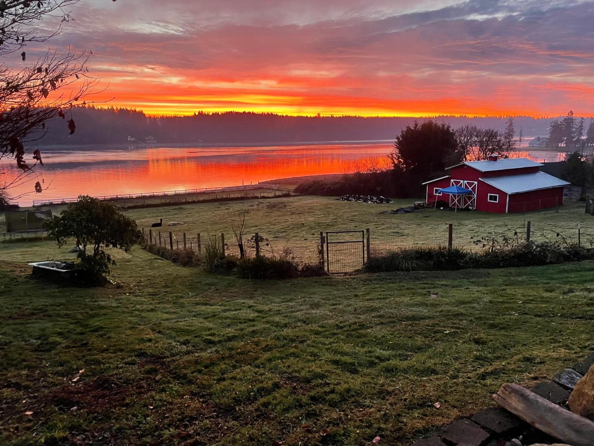 Oceanfront Studio/Loft: Alpacas, Oysters & Kayaks Shelton Exteriör bild