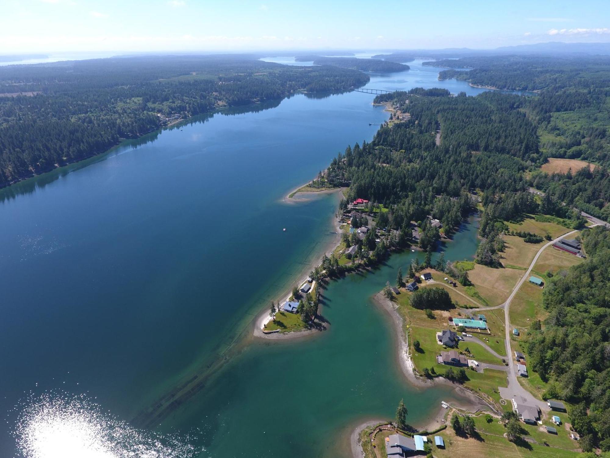 Oceanfront Studio/Loft: Alpacas, Oysters & Kayaks Shelton Exteriör bild
