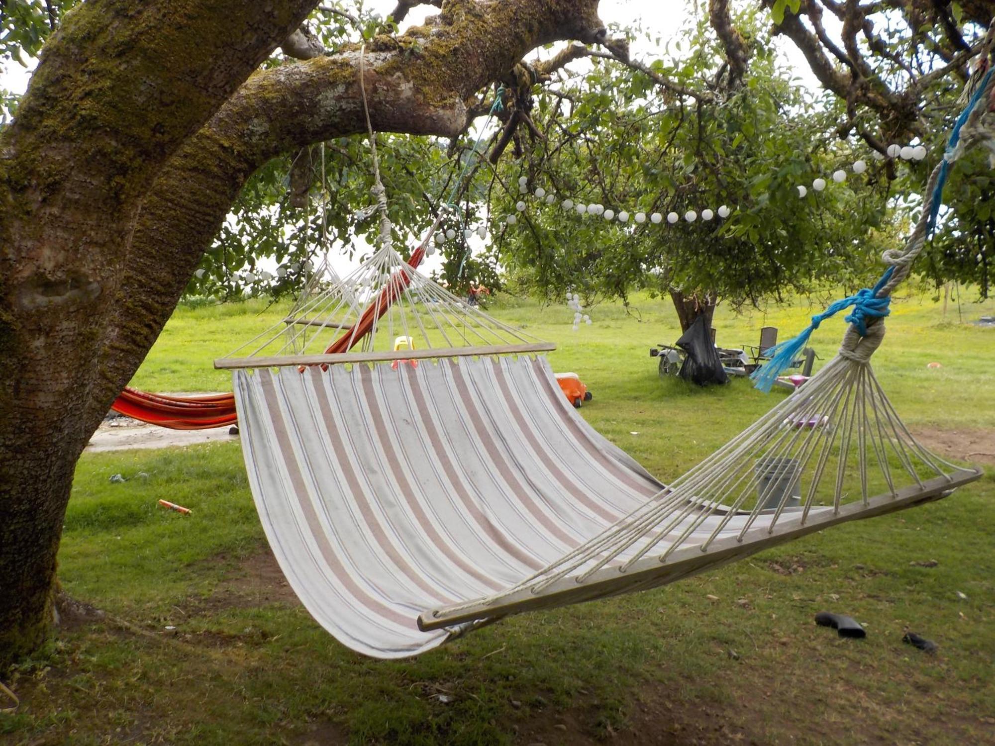 Oceanfront Studio/Loft: Alpacas, Oysters & Kayaks Shelton Exteriör bild