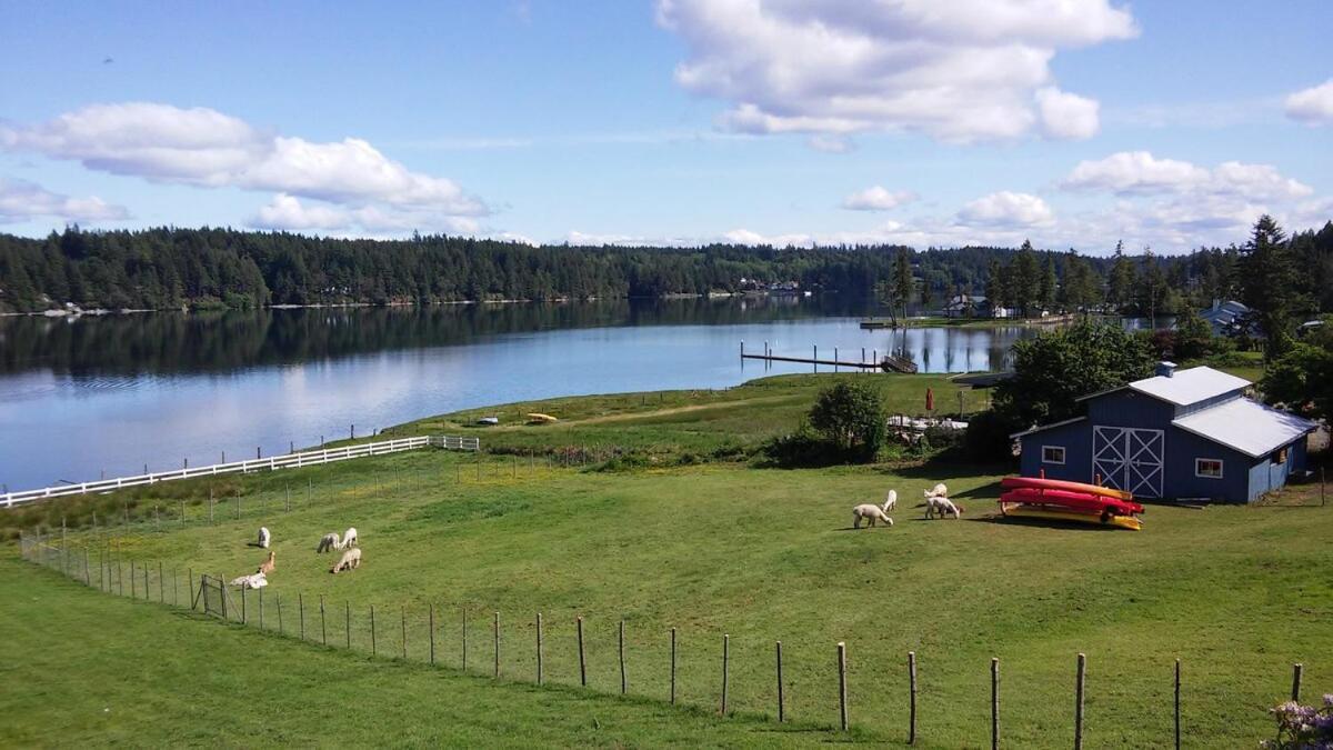 Oceanfront Studio/Loft: Alpacas, Oysters & Kayaks Shelton Exteriör bild