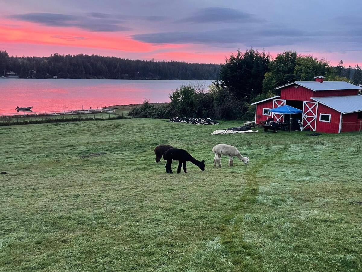 Oceanfront Studio/Loft: Alpacas, Oysters & Kayaks Shelton Exteriör bild